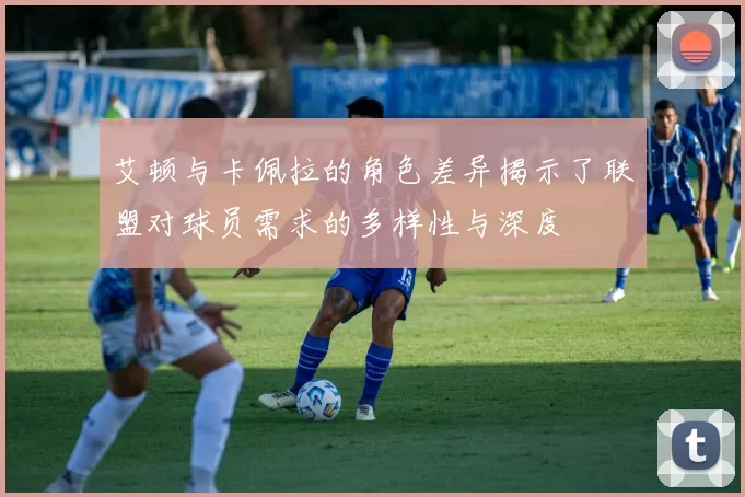 艾顿与卡佩拉的角色差异揭示了联盟对球员需求的多样性与深度